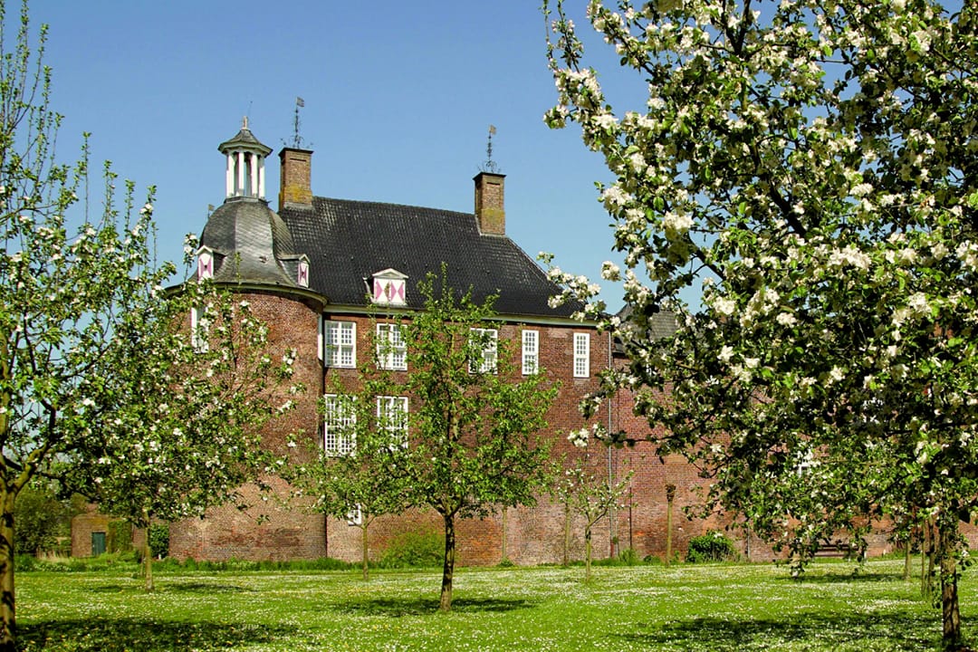 RiKu_Schloss-Ringenberg